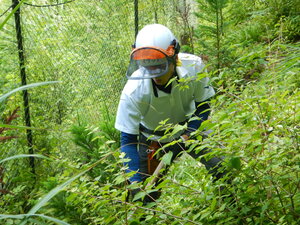 DSCN7142.JPG