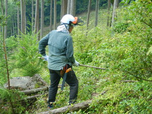 DSCN7157.JPG