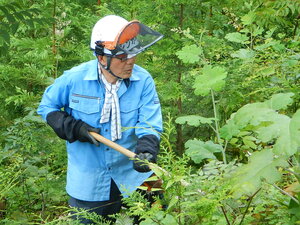 DSCN7166.JPG