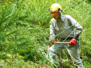 DSCN7188.JPG