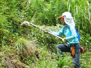 DSCN7190.JPG