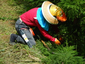 DSCN7208.JPG
