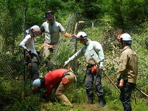 DSCN7239.JPG