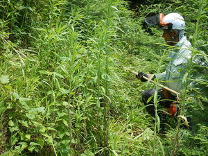 DSCN7249.JPG