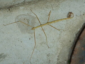 DSCN7308.JPG