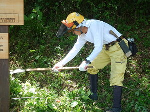 DSCN7317.JPG