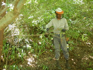DSCN7325.JPG
