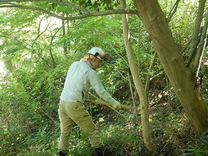 DSCN7329.JPG