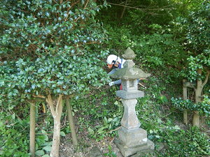 DSCN7330.JPG