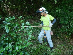 DSCN7332.JPG