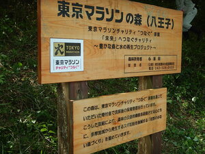 DSCN7339.JPG