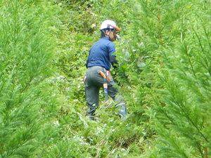 DSCN7348.JPG