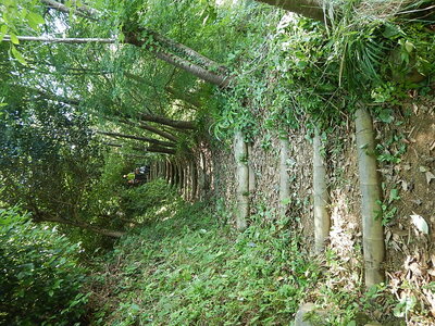 DSCN7366.JPG