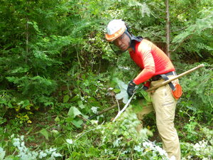 DSCN7368.JPG