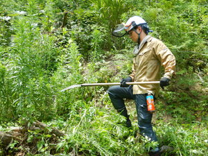 DSCN7378.JPG