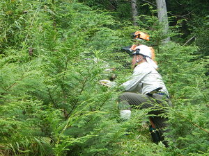 DSCN7388.JPG