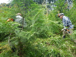 DSCN7394.JPG