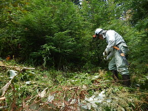 DSCN7396.JPG