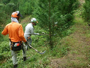 DSCN7398.JPG