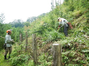 DSCN7401.JPG