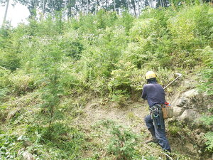DSCN7402.JPG