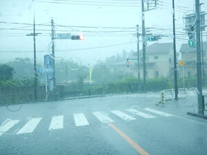 DSCN7418.JPG