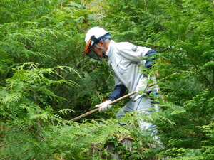 DSCN7515.JPG