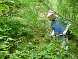 DSCN7521.JPG