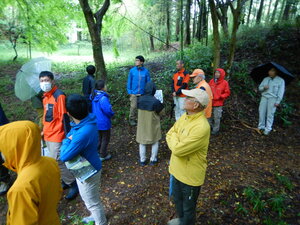 DSCN5281.JPG