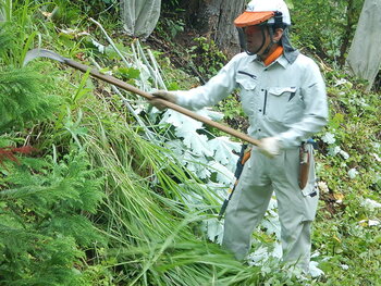 DSCN5833.JPG