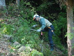 DSCN4439.JPG