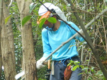 DSCN8044.JPG