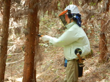 DSCN7709.JPG