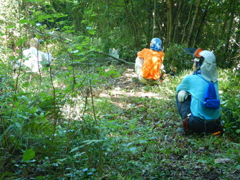 DSCN7996.JPG