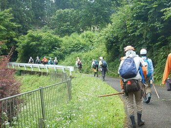 DSCN6534.JPG