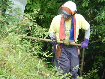 DSCN6536.JPG