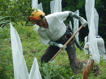 DSCN6555.JPG