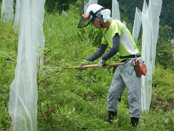 DSCN6579.JPG