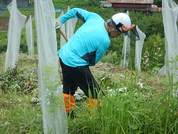 DSCN6587.JPG
