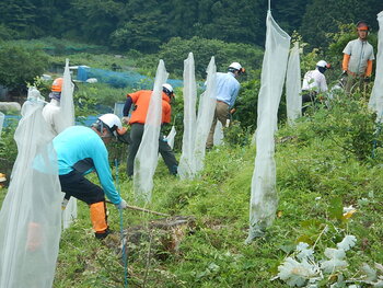 DSCN6627.JPG