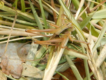 DSCN6859.JPG