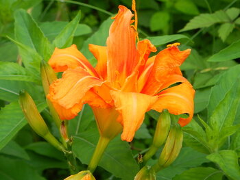 DSCN6876.JPG