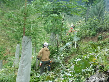DSCN6979.JPG