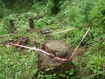 DSCN6998.JPG