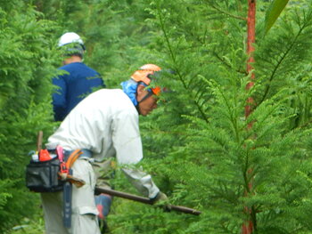 DSCN7024.JPG