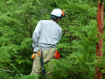 DSCN7026.JPG