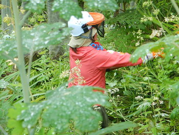 DSCN7033.JPG