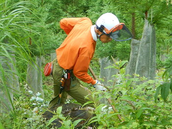 DSCN7038.JPG