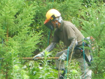 DSCN7052.JPG