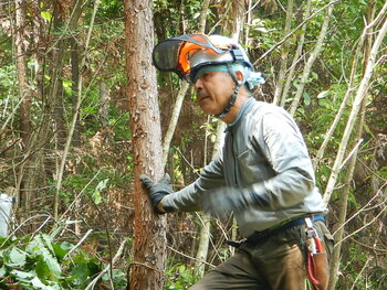 DSCN7731.JPG